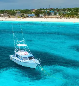 Boat anchored shallow water about dubai